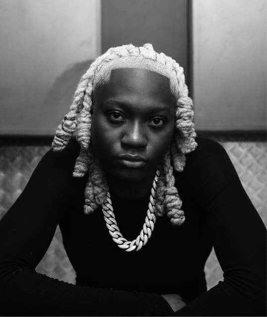 Artist profile